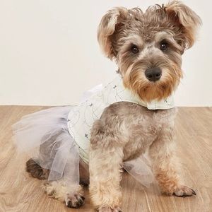 Cute Ivory Puppy Dress. Size S